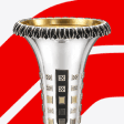 F1 Constructors Champion