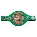 WBC Welterweight Champion on Dec 31, 2026