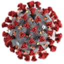 Pandemic?