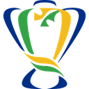 Copa do Brasil Champion