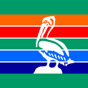 St. Petersburg Mayoral Election Winner