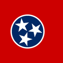 Tennessee Senate Election Winner