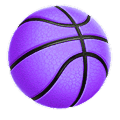 WNBA Playoff Qualifiers