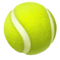Men's Pro Tennis No. 1 on Dec 31, 2026
