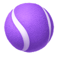 Women's Pro Tennis No. 1 on Dec 31, 2026