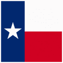 Texas Senate Election Winner