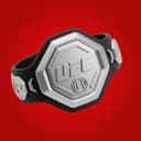 UFC Bantamweight Champion on Dec 31, 2026