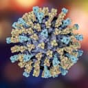 US Measles Cases in 2026?
