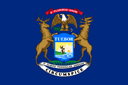 Michigan Senate Democratic Primary Margin of Victory?