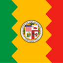 LA Mayoral Election Winner